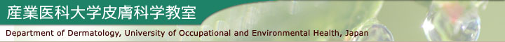 産業医科大学皮膚科学教室ホームページ
